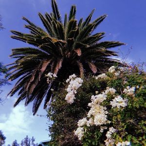 Meet your Posher, Nina